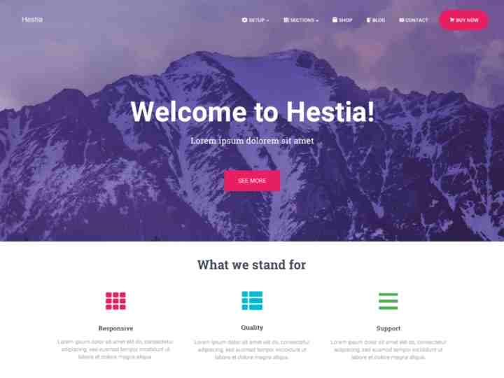 Hestia seo friendly wordpress theme