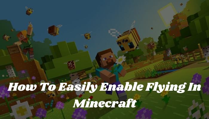 How To Easily Enable Flying In Minecraft
