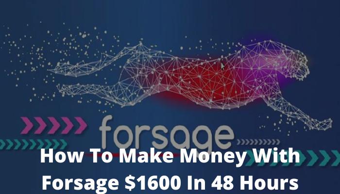 How To Make Money With Forsage $1600 In 48 Hours